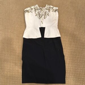 Sachin & Babi Dress